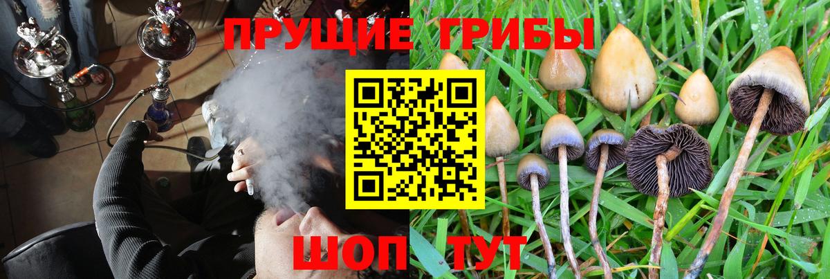 Псилоцибиновые грибы Psilocybe  Вход с VPN  Горячий Ключ  Галлюциногенные грибы MAGIC MUSHROOMS 