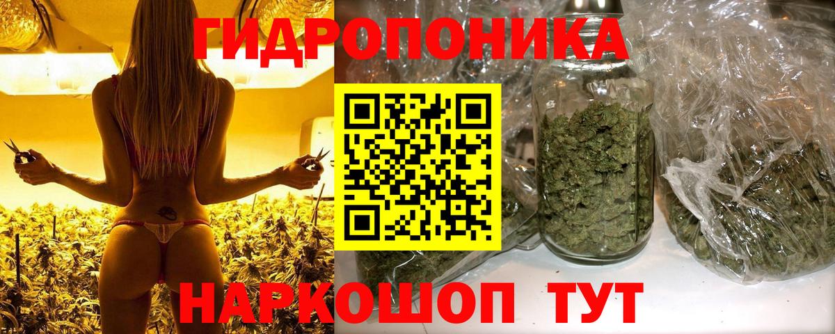 Каннабис OG Kush Горячий Ключ